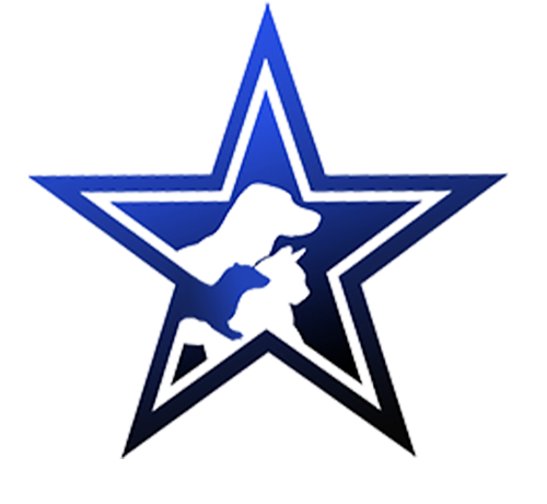 Roanoke Logo Star Roanoke Logo Star